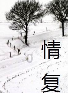 丛林之决战